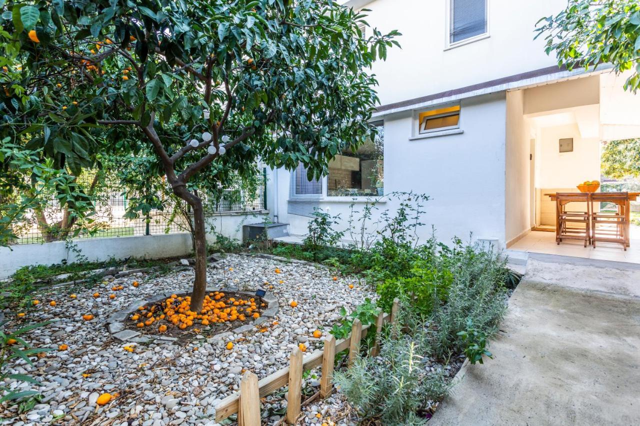 Villa Belinda 베렉 외부 사진
